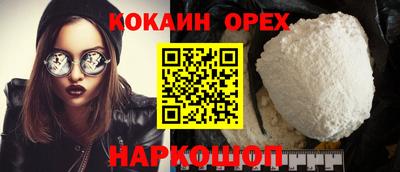 твердый Гусев