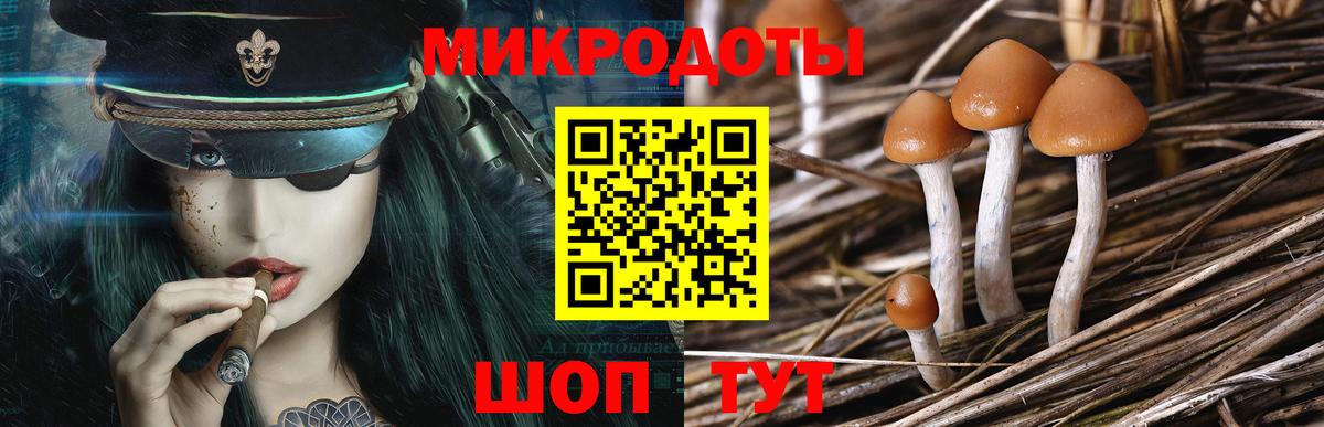 Псилоцибиновые грибы мухоморы Киржач