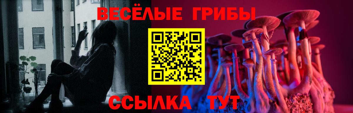 Киржач  Галлюциногенные грибы Cubensis  Галлюциногенные грибы Magic Shrooms  Вход с VPN 