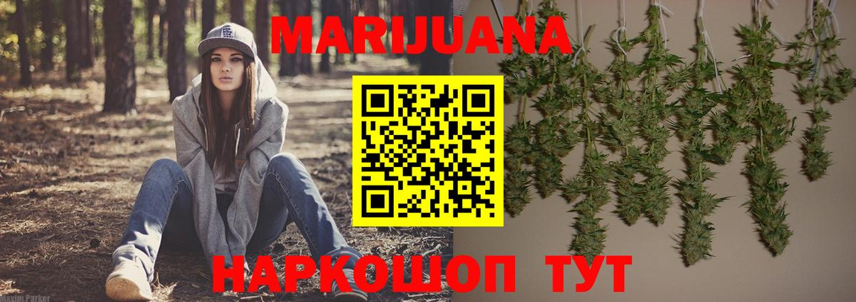 Каннабис гибрид  Киржач  Марихуана Ganja  Бошки марихуана Amnesia 